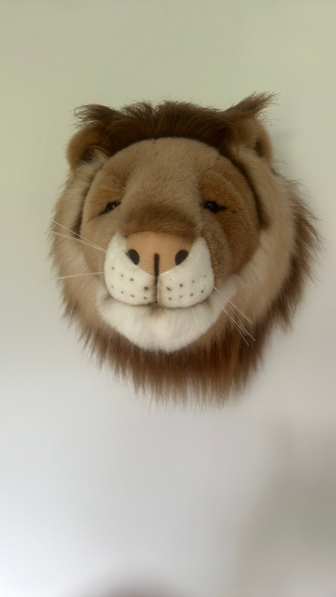 Wild & soft leeuw cesar pluche met ophaaghaak, Ophalen of Verzenden, Zo goed als nieuw, Wanddecoratie