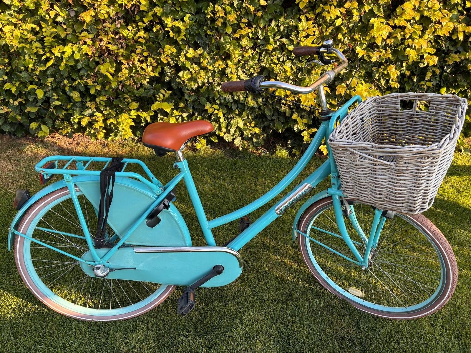 Popalfiets 26 inch met 7 versnellingen en mand, Terugtraprem, Gebruikt, Versnellingen, Minder dan 47 cm