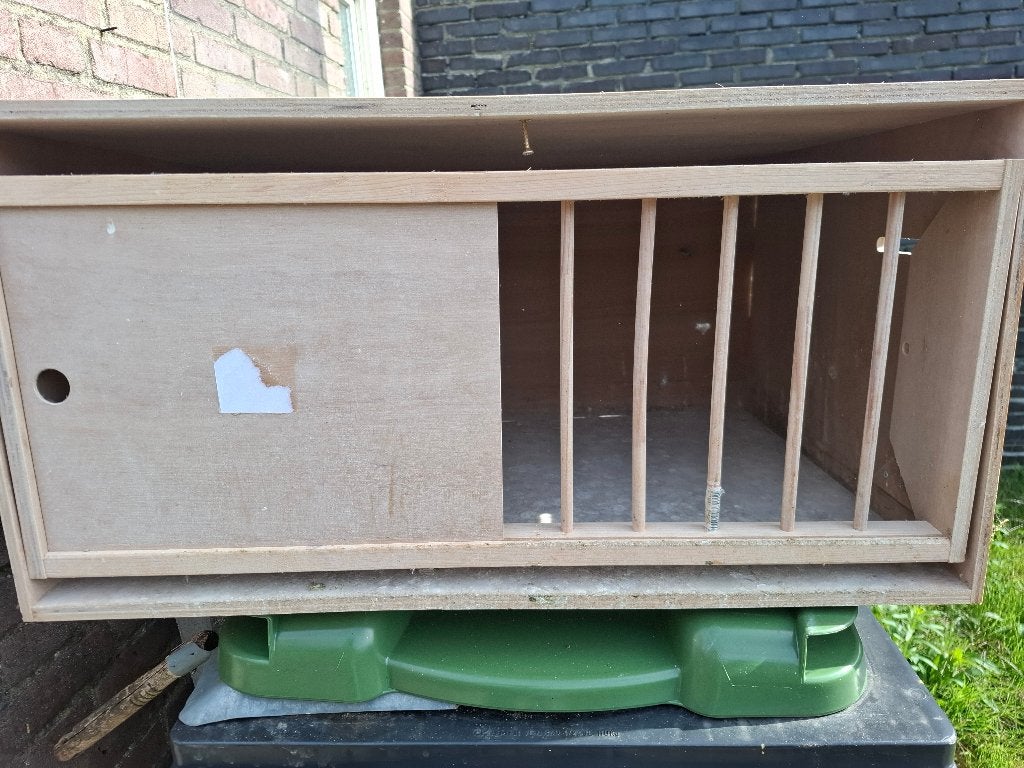 broedbakken voor duiven, Meerdere dieren, Postduif