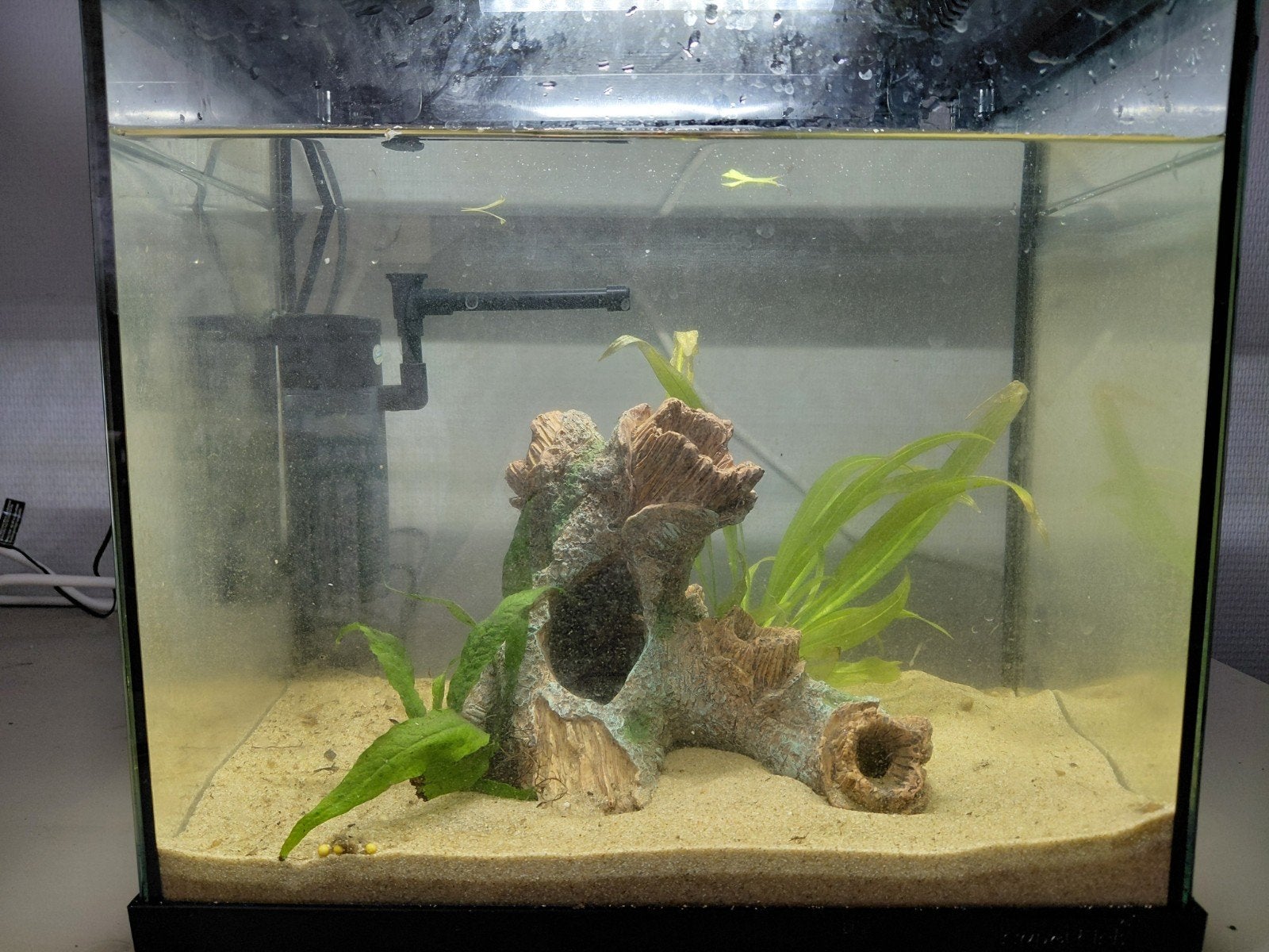 25 liter aquarium, Dieren en Toebehoren, Ophalen, Gebruikt, Gevuld zoetwateraquarium, Superfish