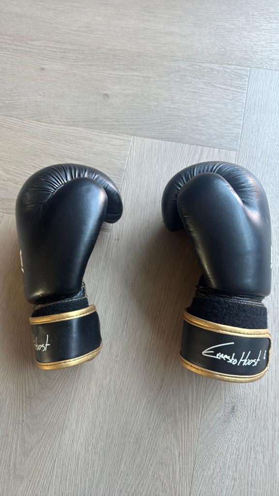 Boxing kickboks handschoenen, Ophalen of Verzenden, Gebruikt, Overige