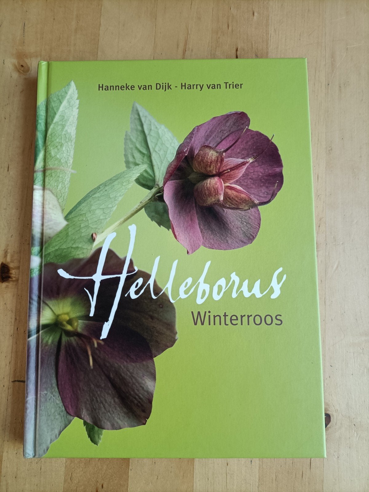Helleborus Winterroos (van Dijk en van Trier), Ophalen of Verzenden, Zo goed als nieuw, Hanneke van Dijk - Harry van Trier, Tuinieren en Tuinplanten