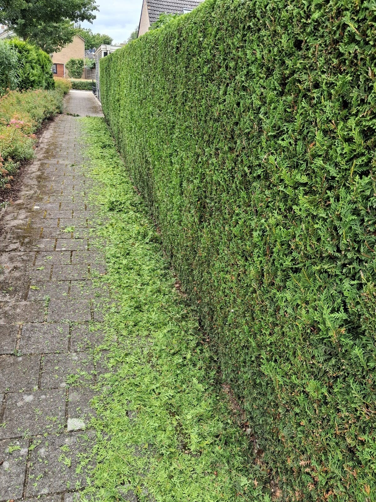 Tuinman hovenier stratenmaker voor al uw tuinklussen!!!, 33 - 40 uur, Overige niveaus, Vanaf 10 jaar, Overige vormen