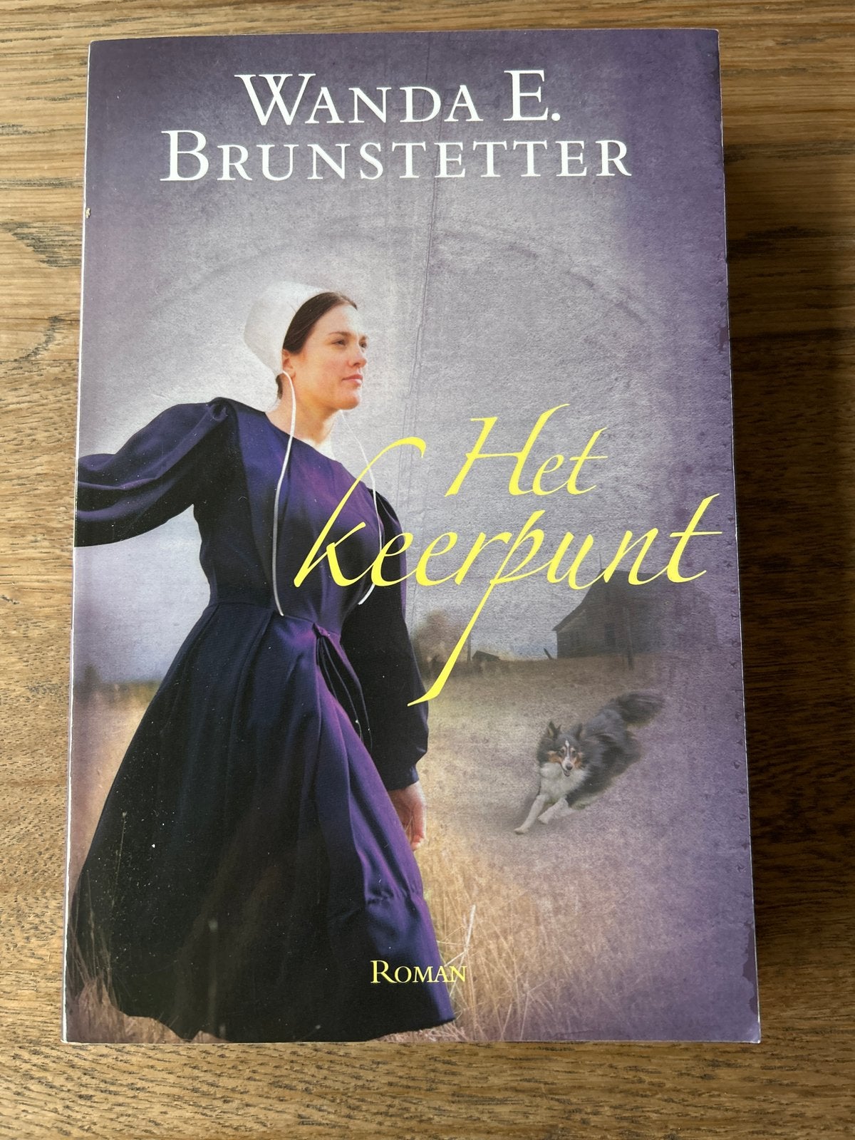 Het keerpunt - Wanda E. Brunstetter (Holmes County 3), Ophalen of Verzenden, Zo goed als nieuw, Nederland