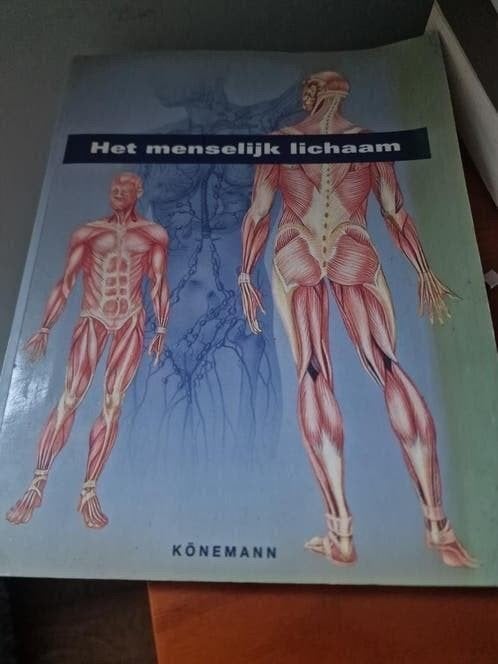 Het menselijk lichaam - Könemann boek, Ophalen of Verzenden