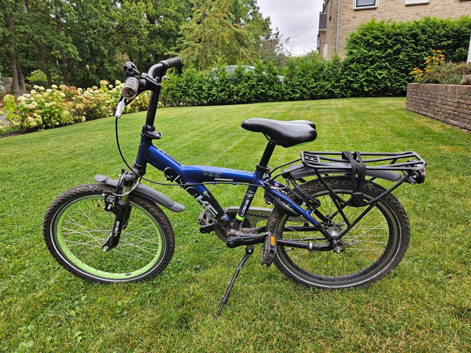 Kinderfiets Snake 20 inch - Blauw/Groen, Ophalen, 20 inch of meer, Gebruikt, Velgrem