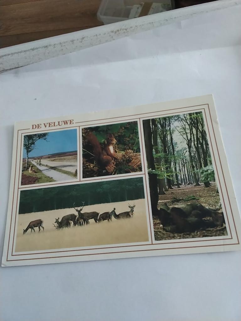 DE VELUWE. 4 AFBEELDINGEN, Ophalen of Verzenden, 1940 tot 1960, Gelderland