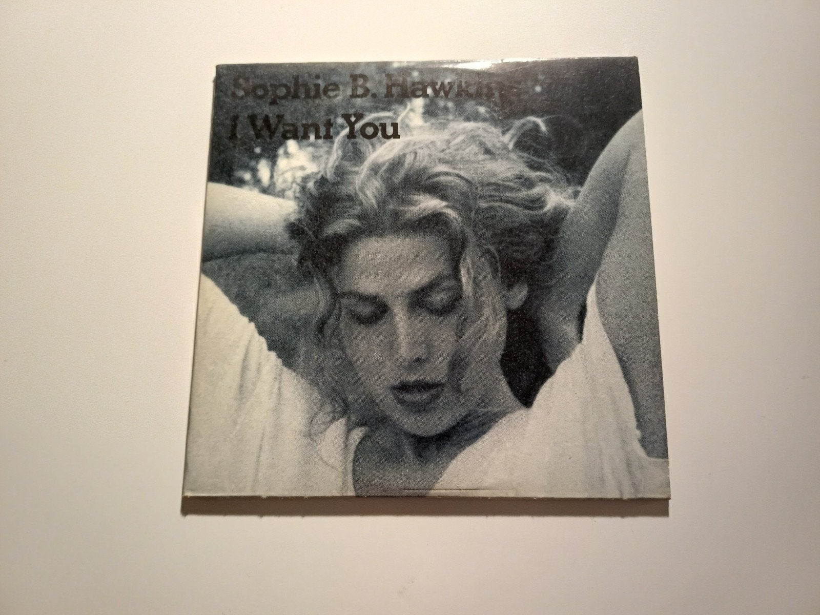 Sophie B.Hawkins-I want you, Verzenden, Pop