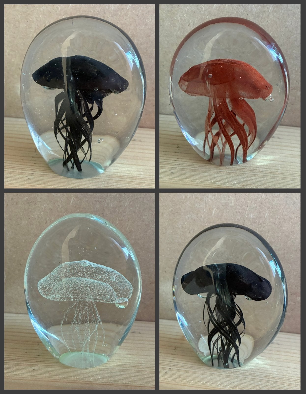 4 Glazen Kwallen Decoraties Jellyfish presse-papier, Ophalen of Verzenden
