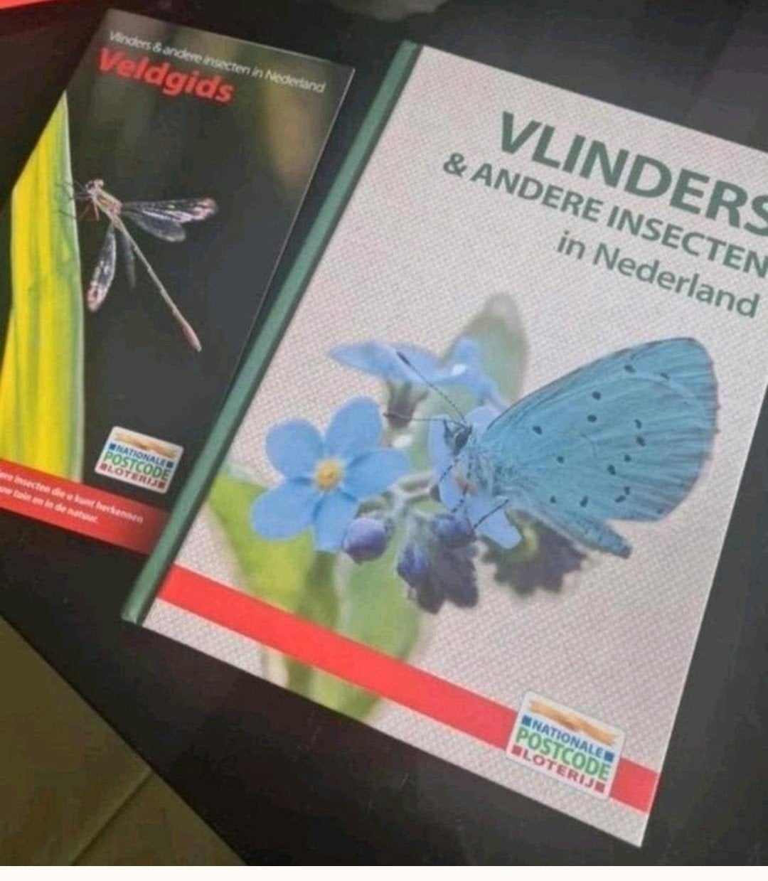 Vlinders en andere insecten nieuw met veldgids, Boeken, Ophalen of Verzenden, Nieuw, Natuur algemeen