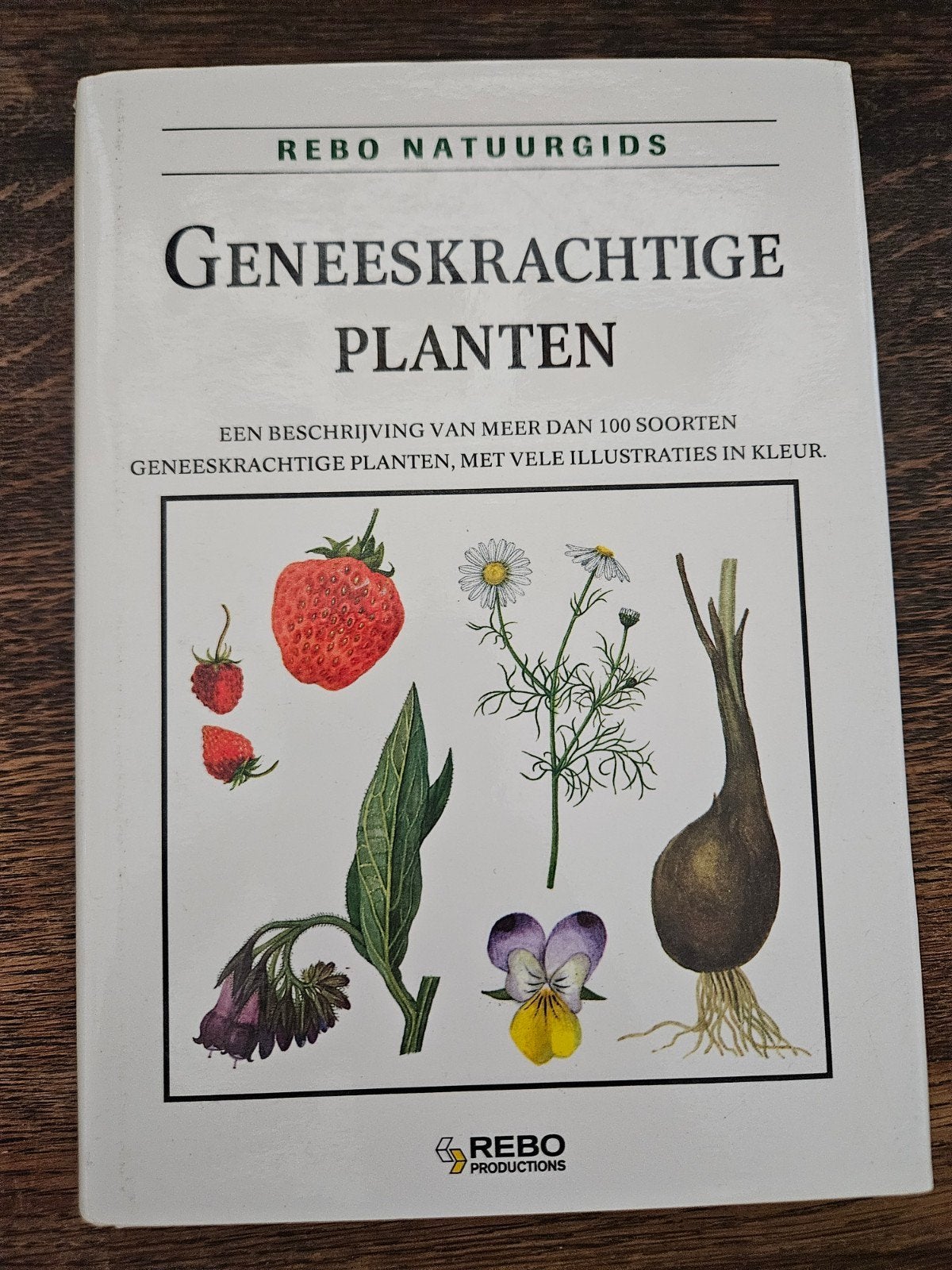 Rebo Natuurgids: Geneeskrachtige Planten, Ophalen of Verzenden, Zo goed als nieuw, František Starý