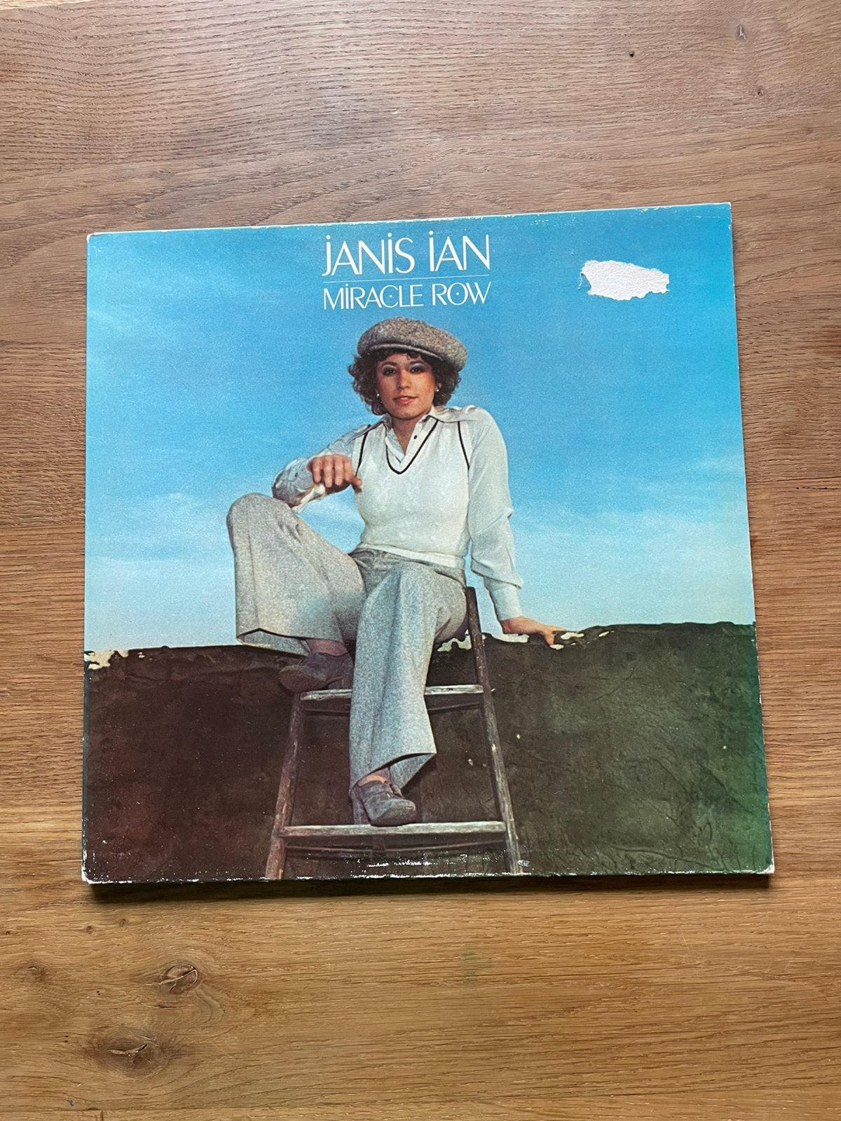 LP Janis Ian      Miracle Row, LP, Gebruikt, Ophalen of Verzenden, 12 inch