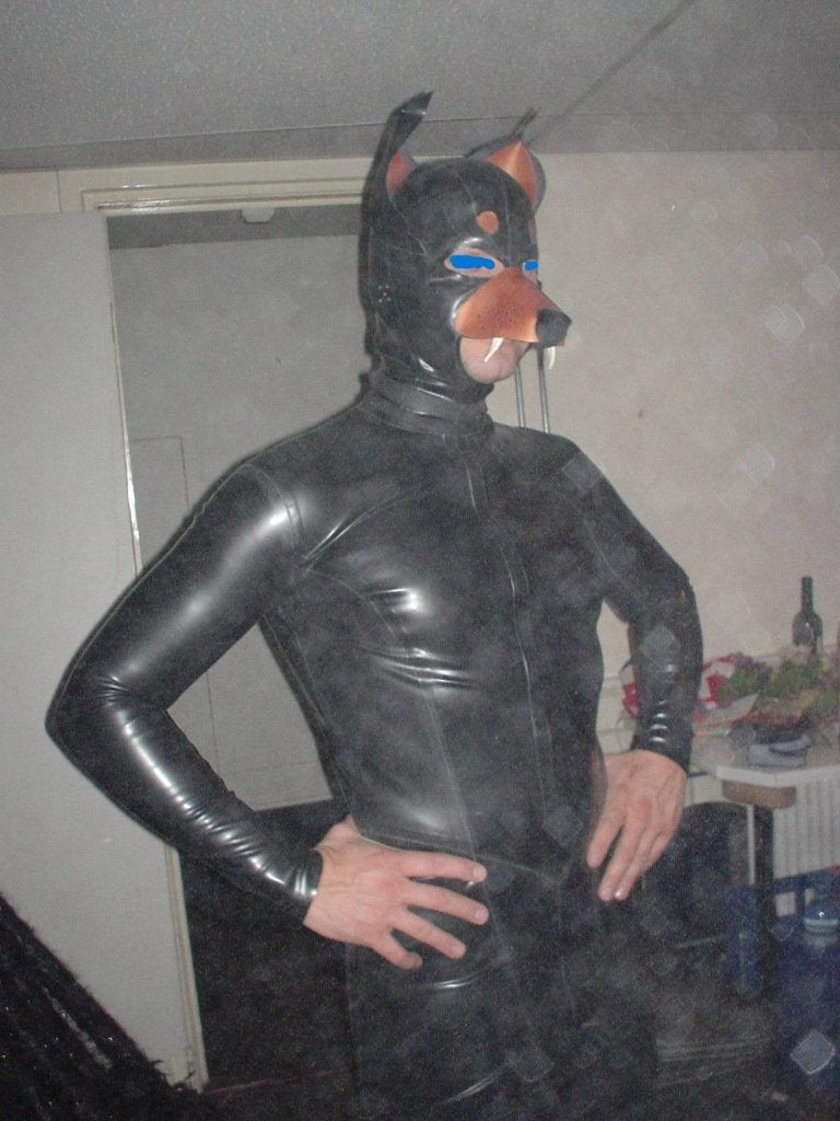 Rubber latex doberman hond masker, House of Harlot, Ophalen of Verzenden, Zo goed als nieuw, Bovenkleding