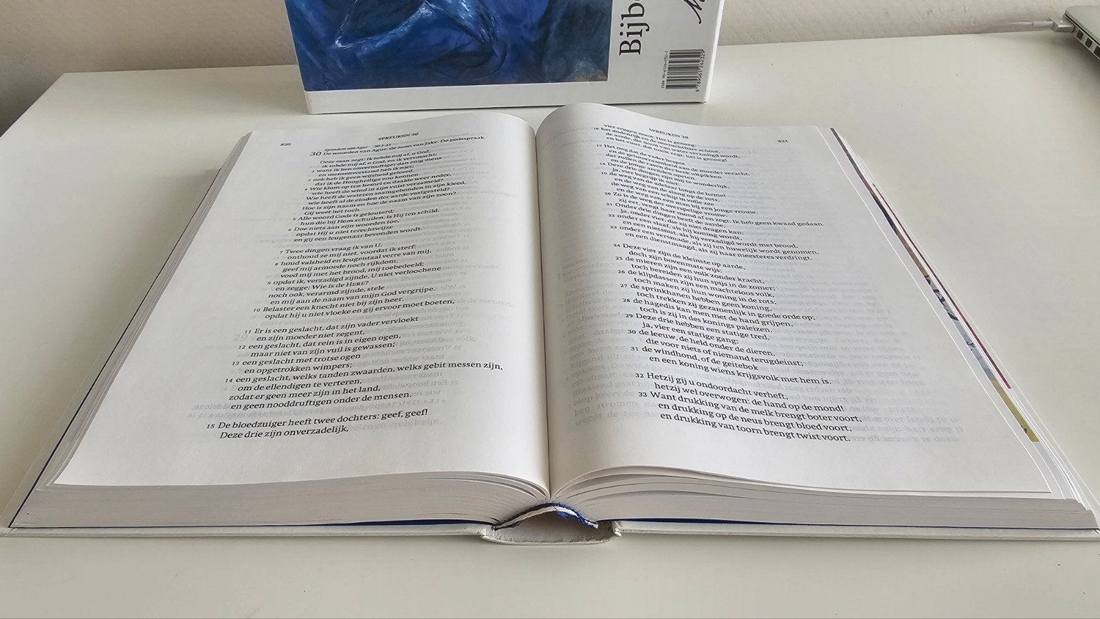 Bijbel met werken van Marc Chagall - Ongelezen, Boeken, Ophalen of Verzenden, Zo goed als nieuw, Christendom | Katholiek