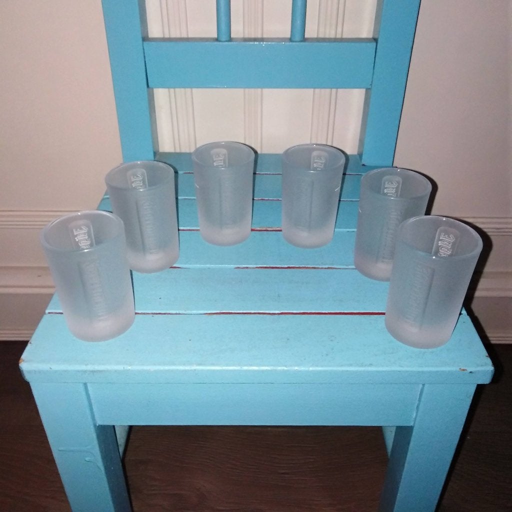 Jagermeister frozen relief glaasjes 6 stuks, Verzamelen, Glas en Borrelglaasjes, Ophalen, Zo goed als nieuw, Borrel- of Shotglas