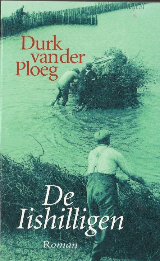 Frysk De Iishilligen - Durk van der Ploeg Roman NIEUWSTAAT, Boeken, Ophalen, Zo goed als nieuw