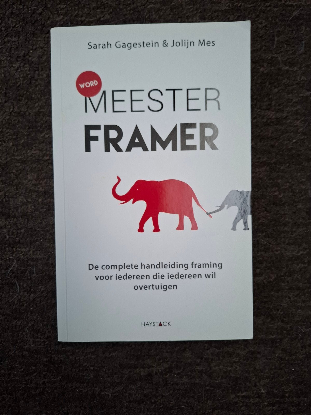 Word Meesterframer - Sarah Gagestein & Jolijn Mes, Ophalen of Verzenden, Zo goed als nieuw, Sarah Gagestein & Jolijn Mes, Nederland
