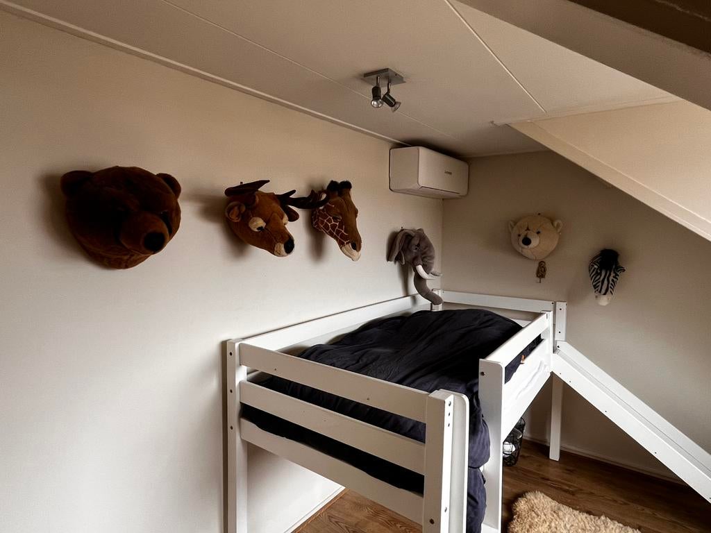 Bibib dierenkoppen 6 stuks, Ophalen of Verzenden, Zo goed als nieuw, Wanddecoratie
