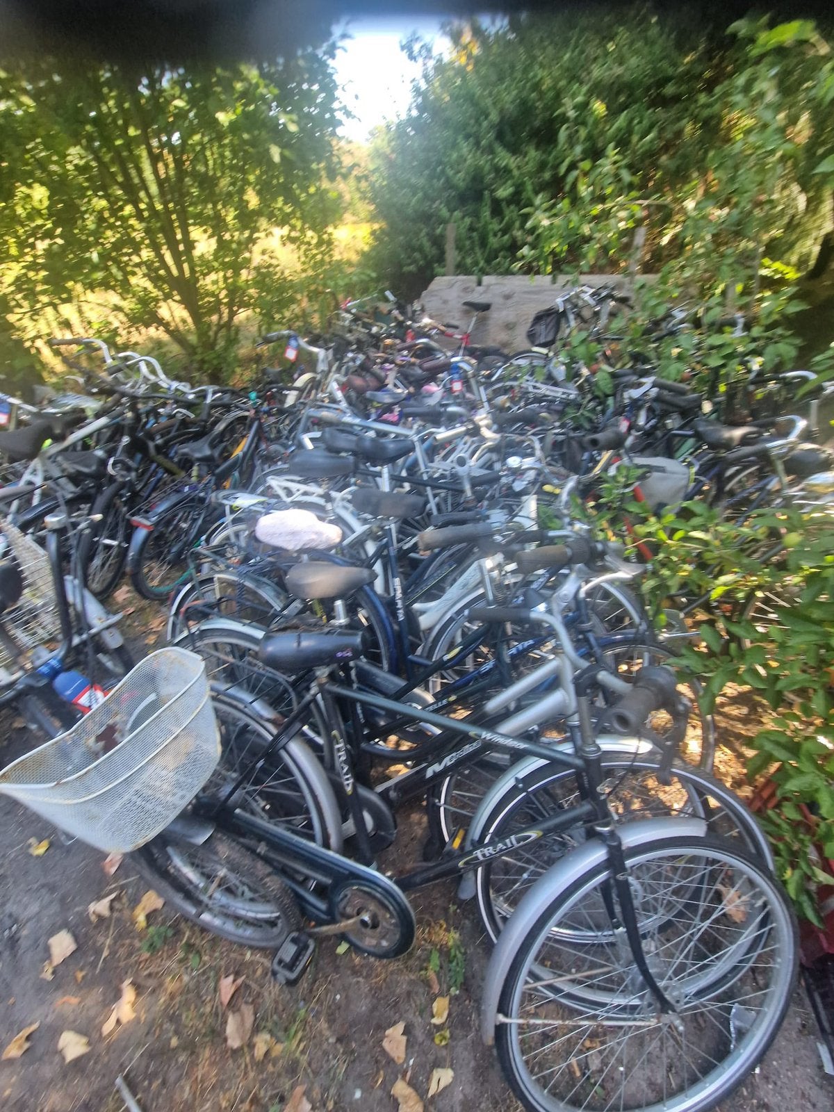 Partij fietsen 55-60 stuks en 1 sym scooter opknappers, Ophalen, Gebruikt