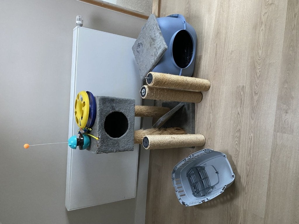 B021 - Krabpaal met kattenbak, speeltjes en reismand, Ophalen, Gebruikt, Krabpaal