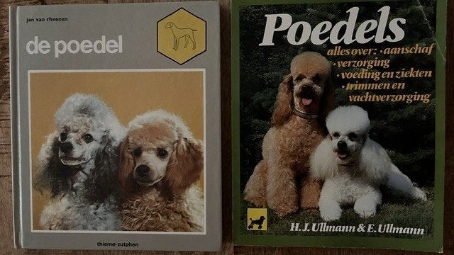 2x Poedel boeken voor € 6,00, Verzenden, Zo goed als nieuw, Honden