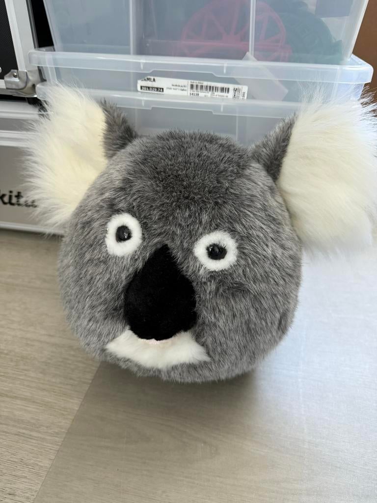 Wild & Soft Koala Dierenhoofd - Muur Decoratie, Ophalen of Verzenden, Nieuw, Wanddecoratie