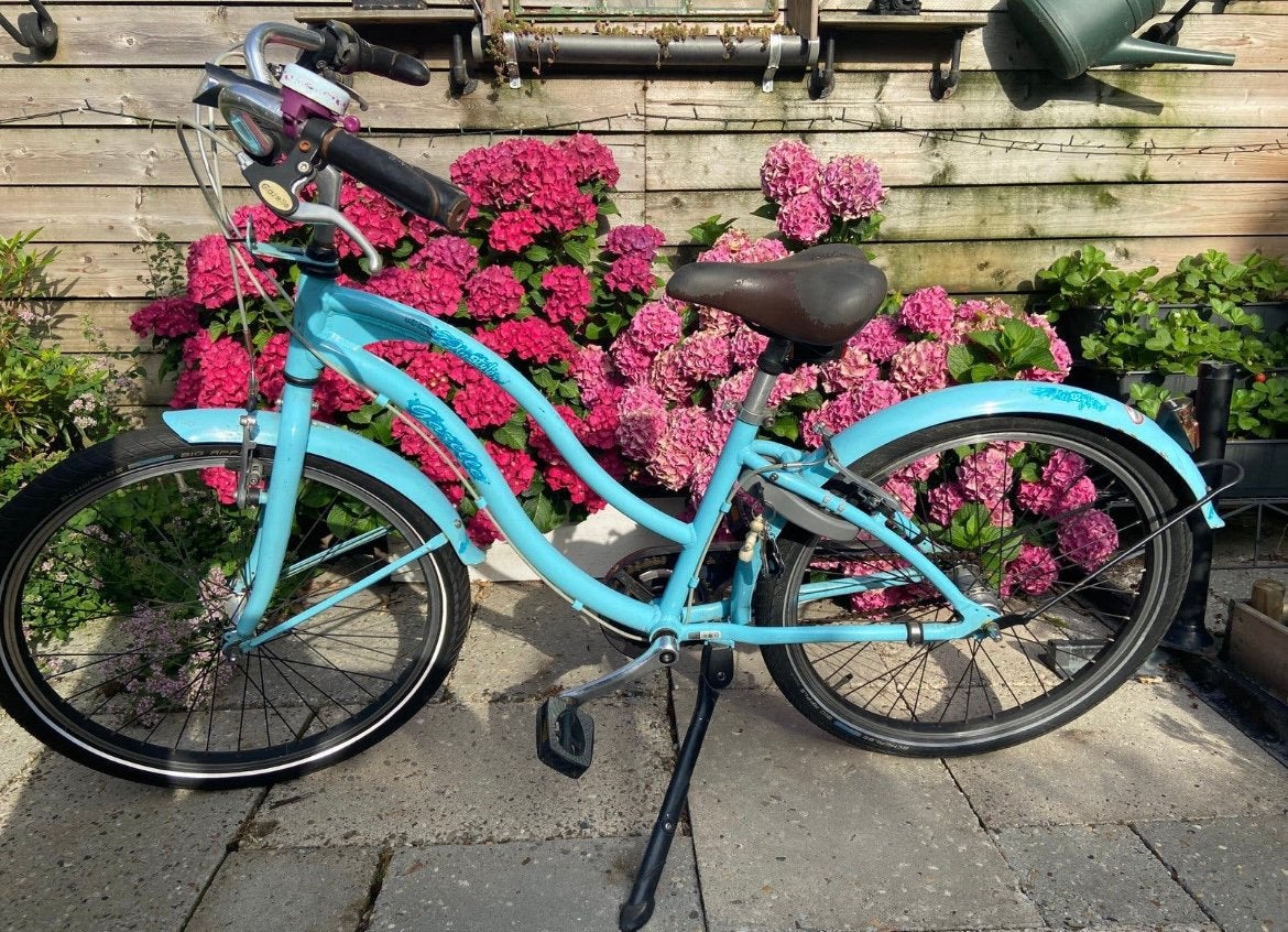 Gazelle free styler 24 inch fiets, Ophalen, Terugtraprem, Versnellingen, Gebruikt