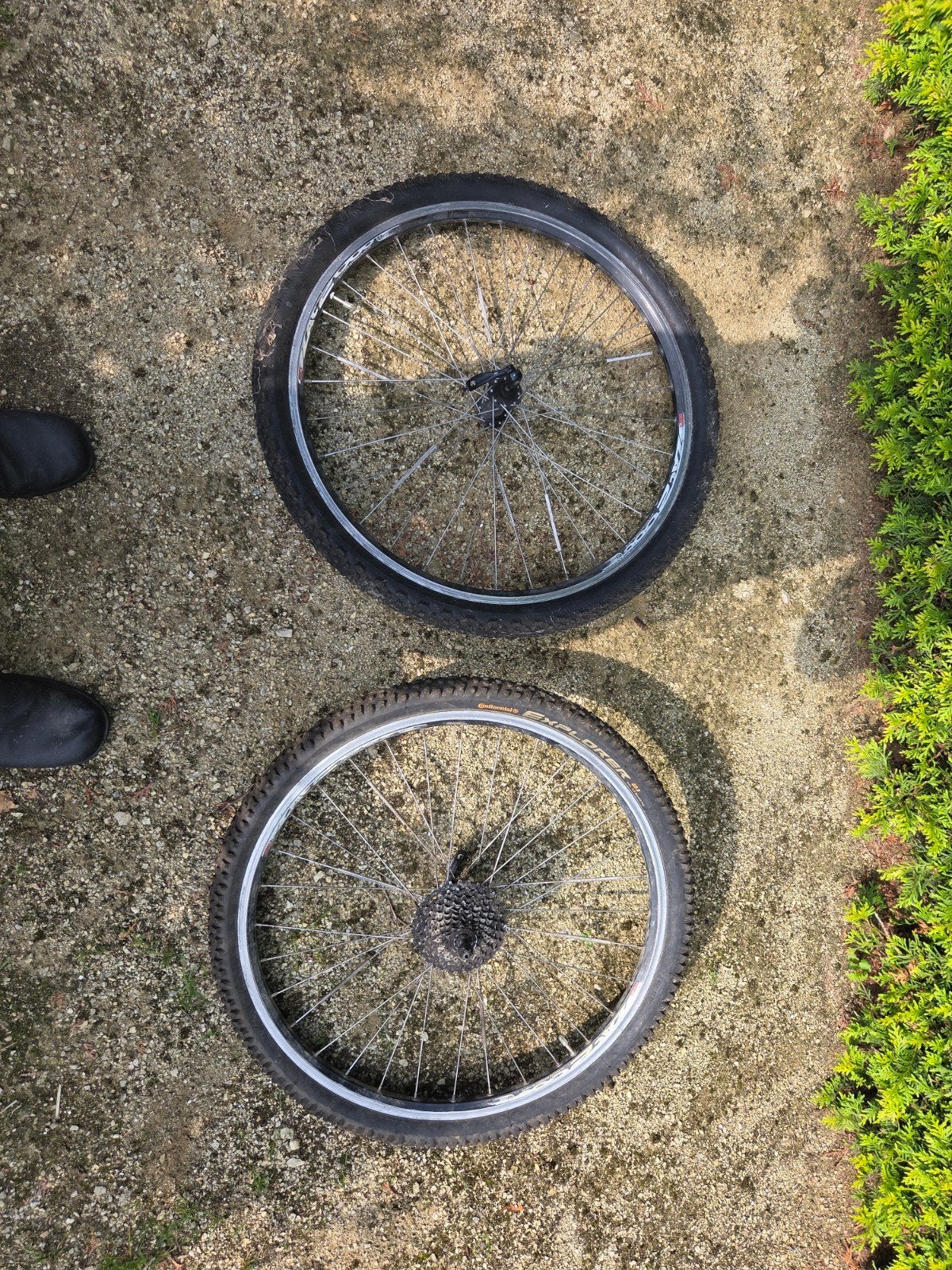2x 26 inch mountainbike wielen met banden en cassette, Ophalen of Verzenden, Gebruikt, Mountainbike, Wiel