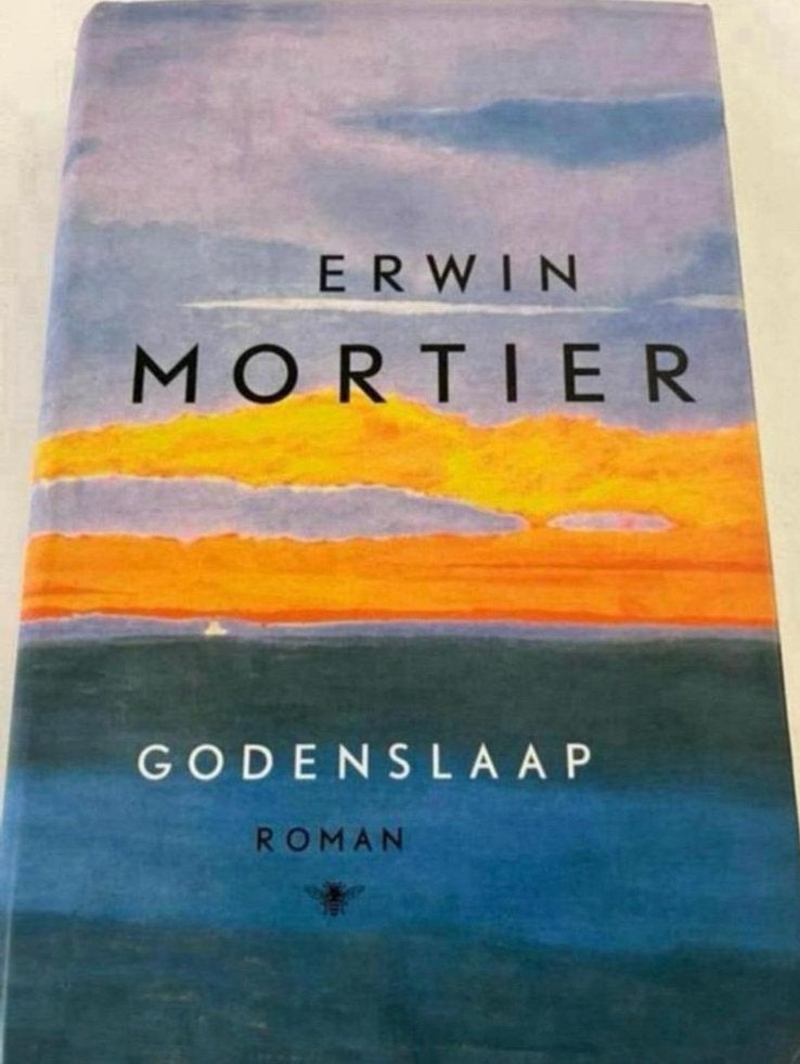ERWIN MORTIER GODENSLAAP ROMAN, Ophalen of Verzenden, Zo goed als nieuw