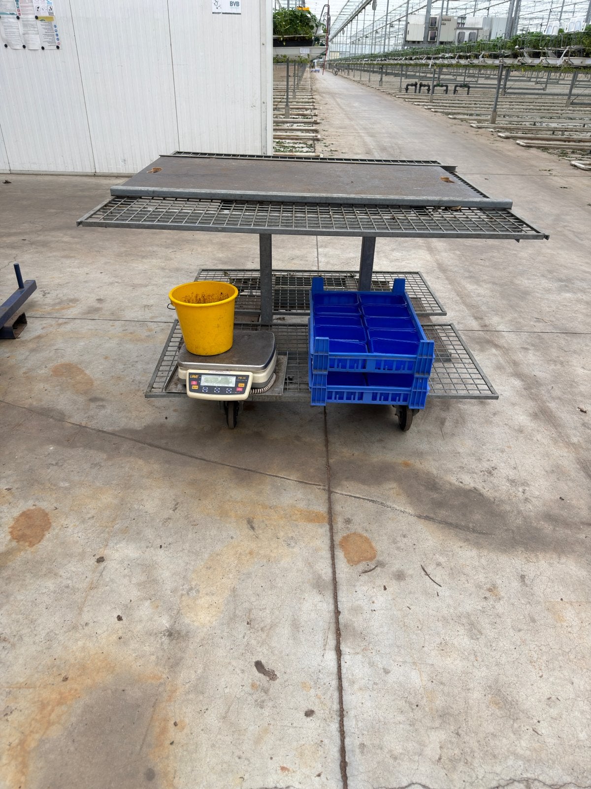 Plukkarren voor aardbeienteelt - 70 stuks beschikbaar, Zakelijke goederen, Ophalen, Fruitteelt, Oogstmachine