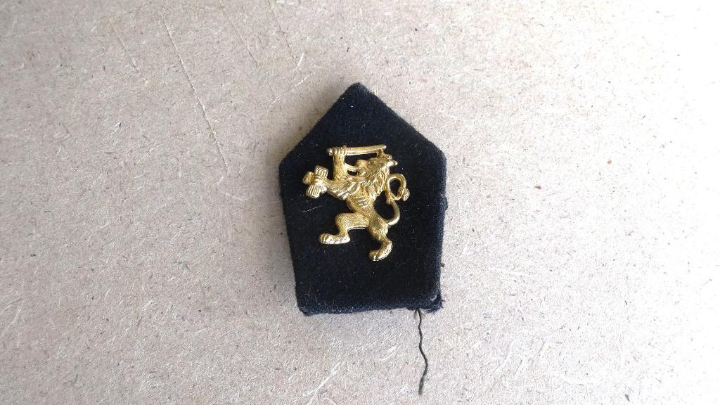 Embleem Nederlandse leeuw, Verzamelen, Ophalen of Verzenden, Landmacht, Nederland, Embleem of Badge