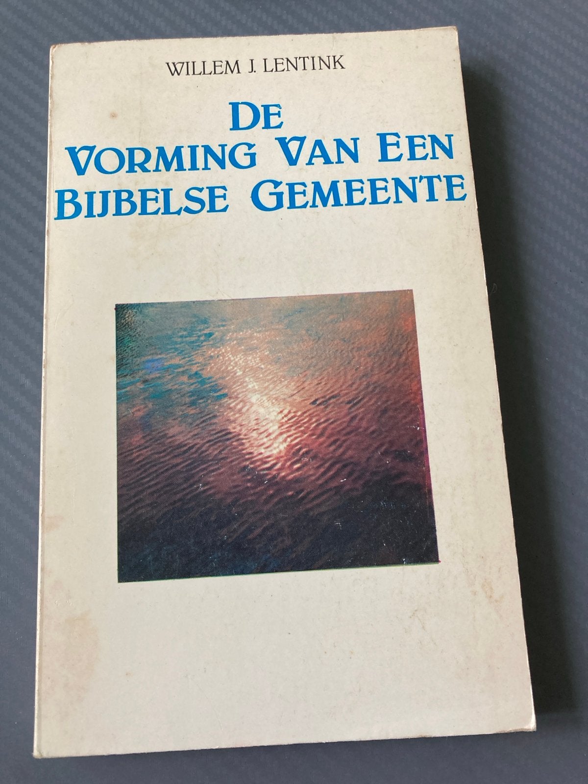 De Vorming Van Een Bijbelse Gemeente - Willem J. Lentink, Ophalen of Verzenden, Gelezen, Christendom | Protestants