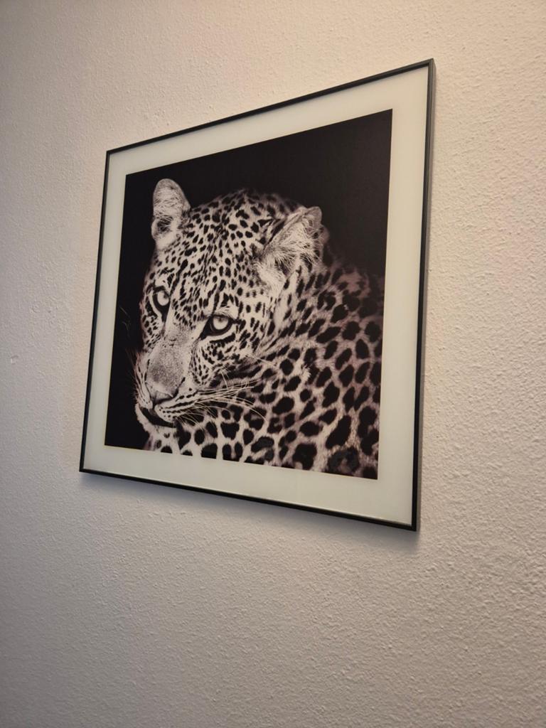 4 Grote Dieren Schilderijen: Panter, Leeuw, Olifant, Tijger, Ophalen, Zo goed als nieuw, Schilderij