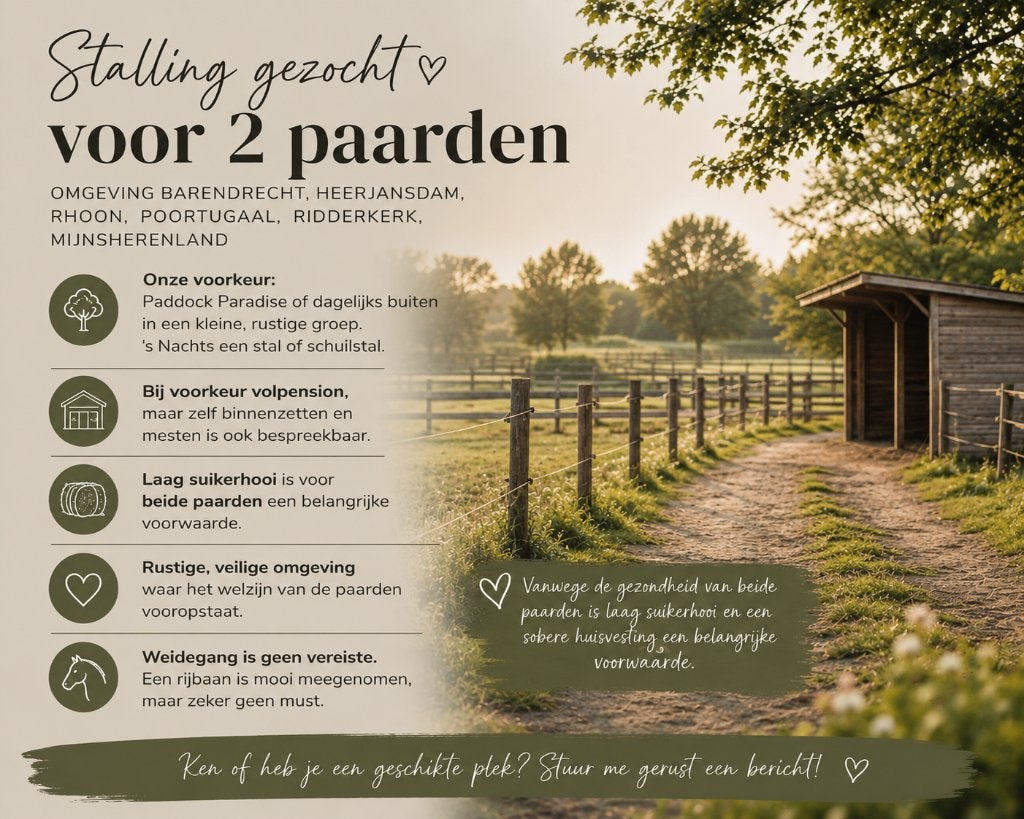 Stalling gezocht voor 2 paarden, Dieren en Toebehoren, Stalling en Weidegang, Stalling, 2 of 3 paarden of pony's