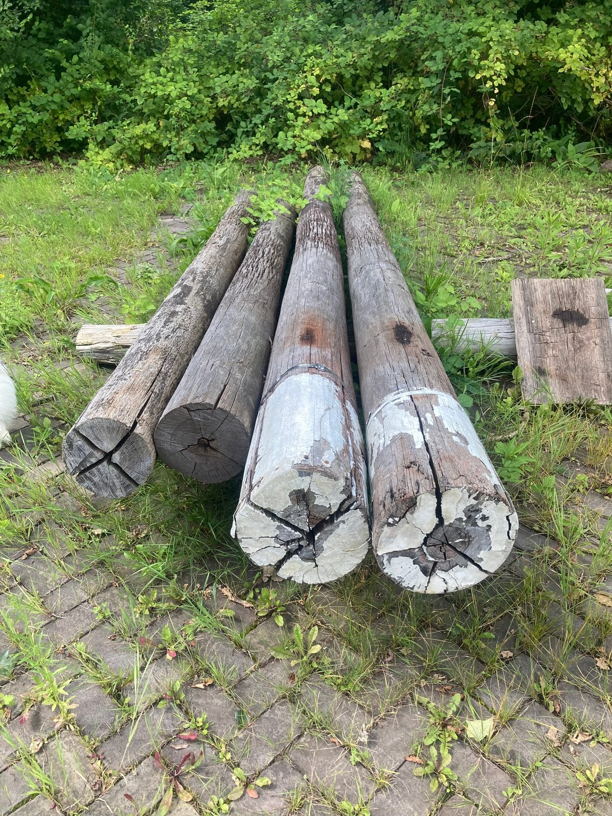 Hardhouten palen met witte kop, steigerpalen, overkapping, Tuin en Terras, Palen, Balken en Planken, Ophalen, Gebruikt, Palen