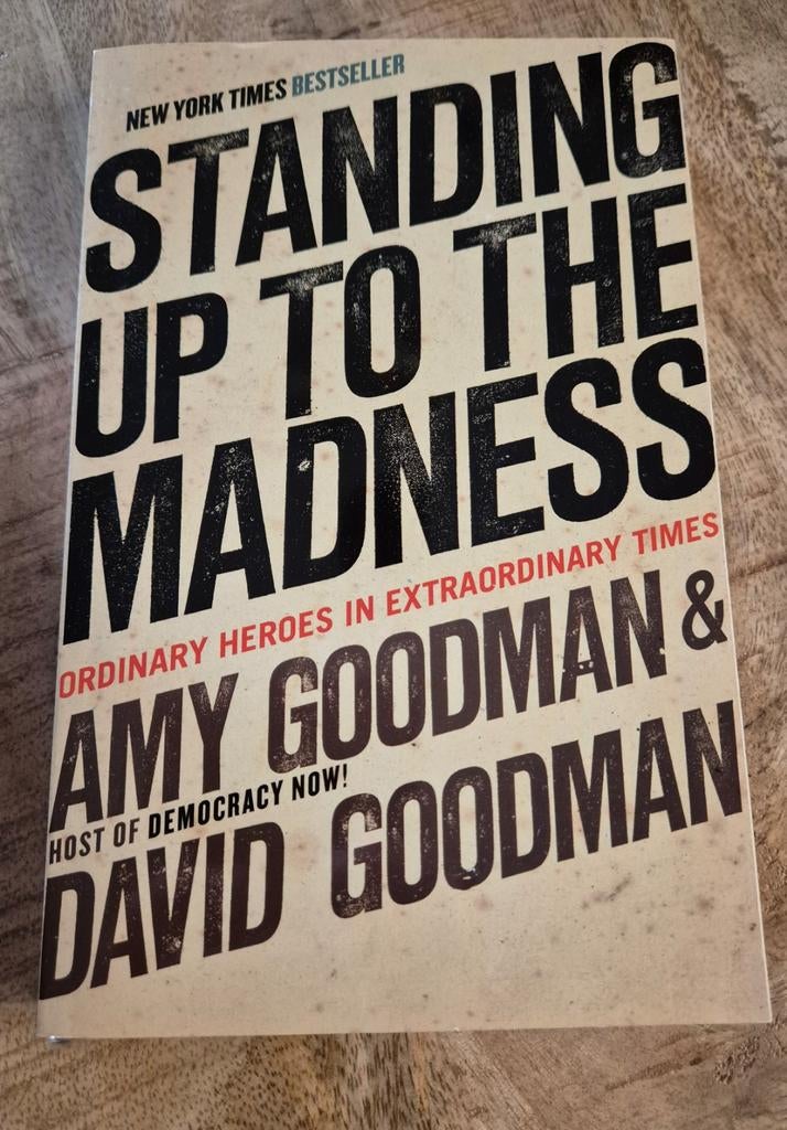 Standing Up to the Madness - Amy & David Goodman, Ophalen of Verzenden, Gelezen, Amy Goodman & David Goodman, Amerika