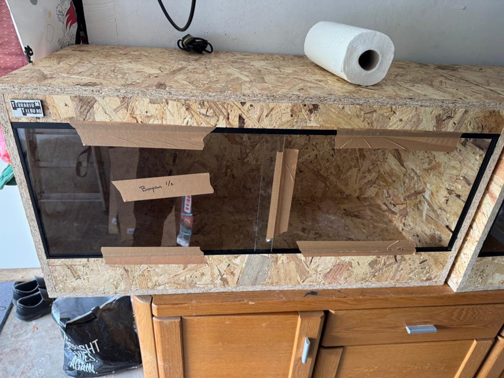 Terrarium OSB, Ophalen of Verzenden, Nieuw