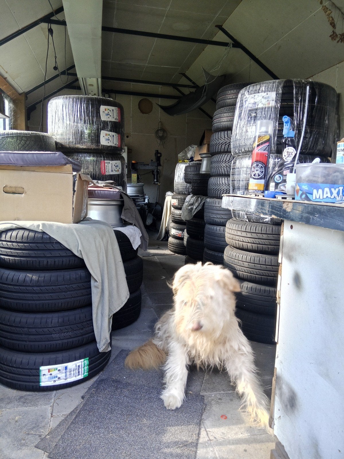 5X100 Audi A1 polo Ibiza band velg ZIE ANDERE ADVERTENTIESI, Ophalen, Overige, Overige, Banden en Velgen