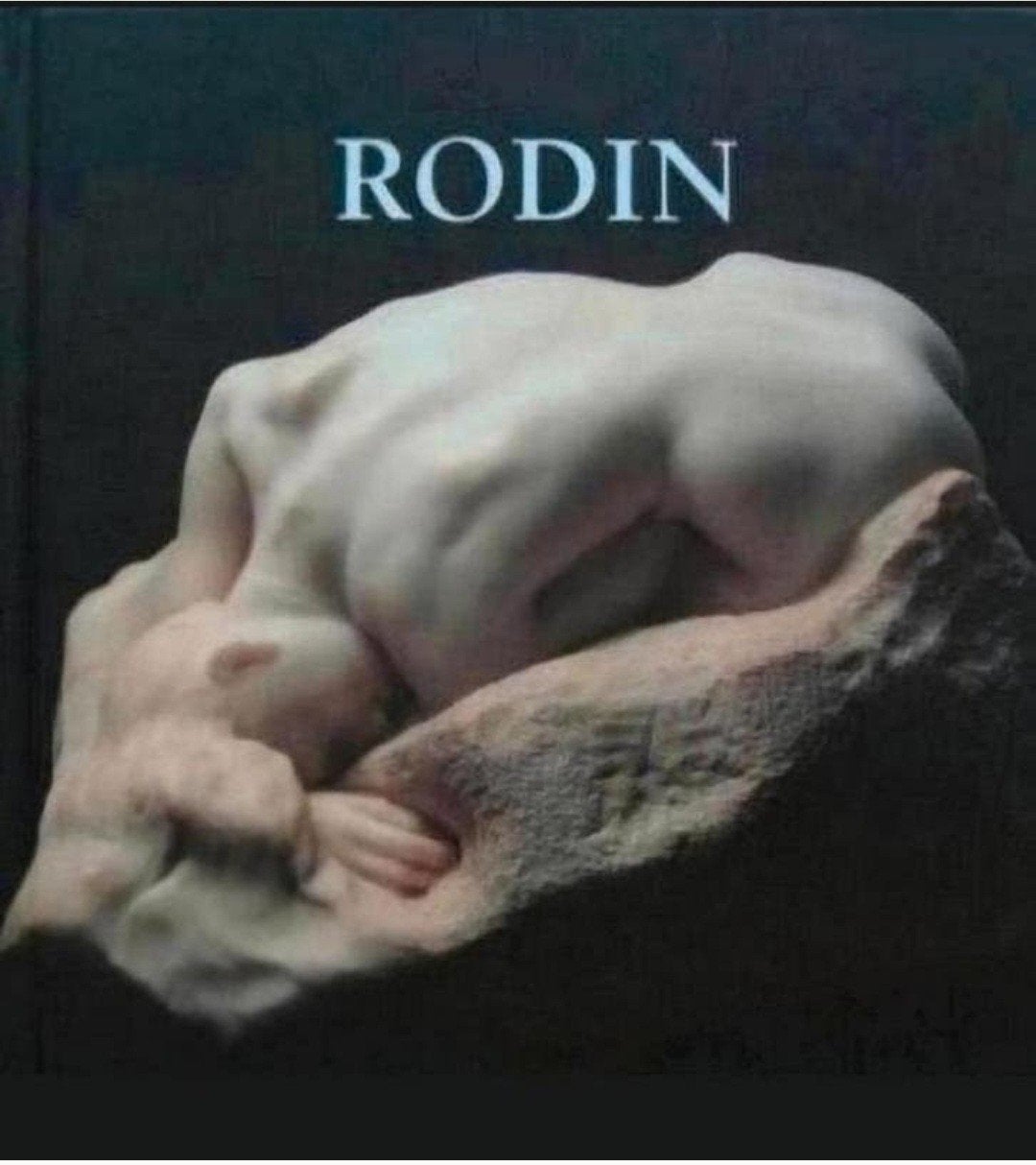 AUGUSTE RODIN Monografie hardcover Nederlands, Verzenden, Zo goed als nieuw