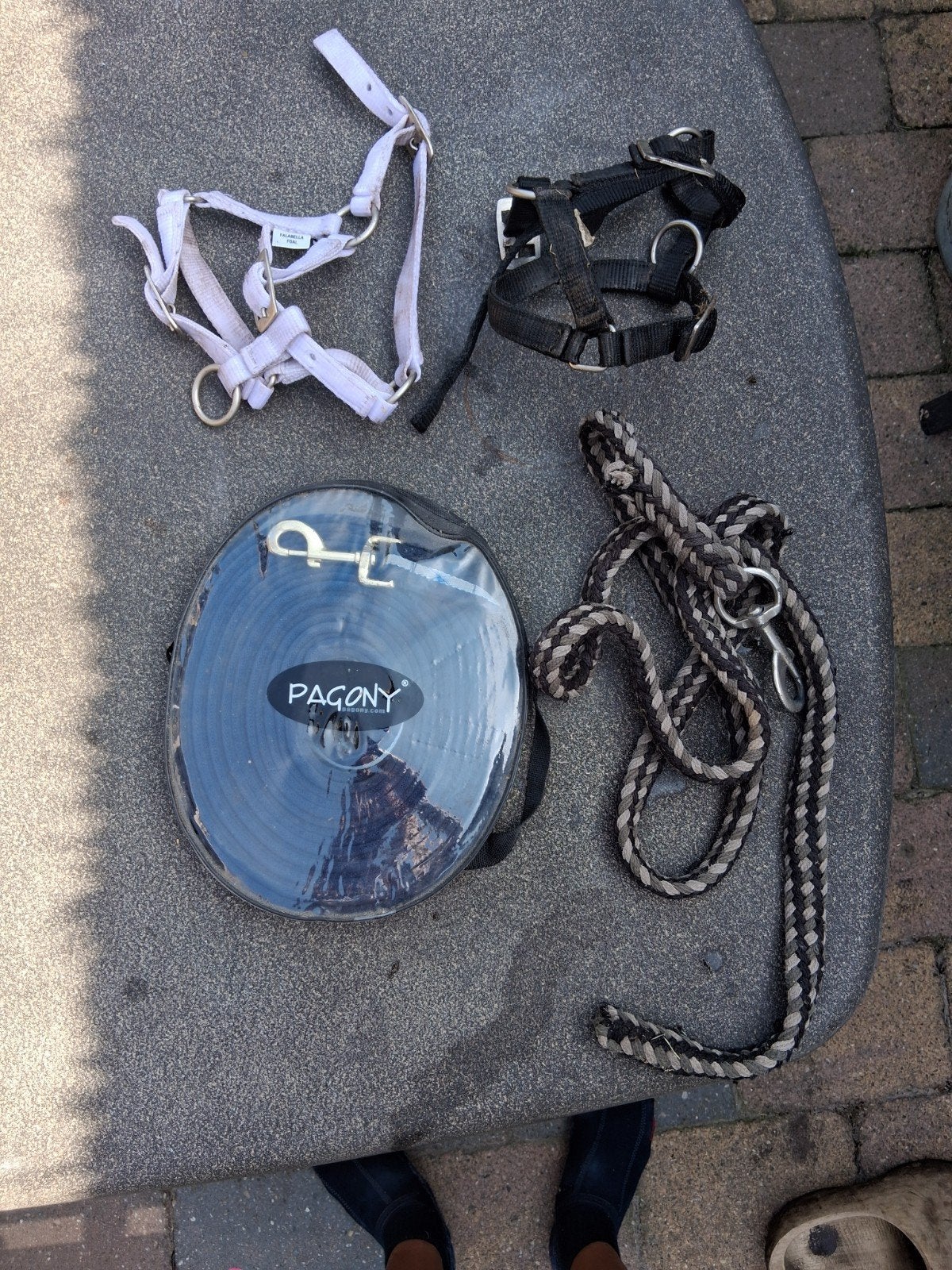 halsters, longeerlijn plus halstertouw, Ophalen, Gebruikt