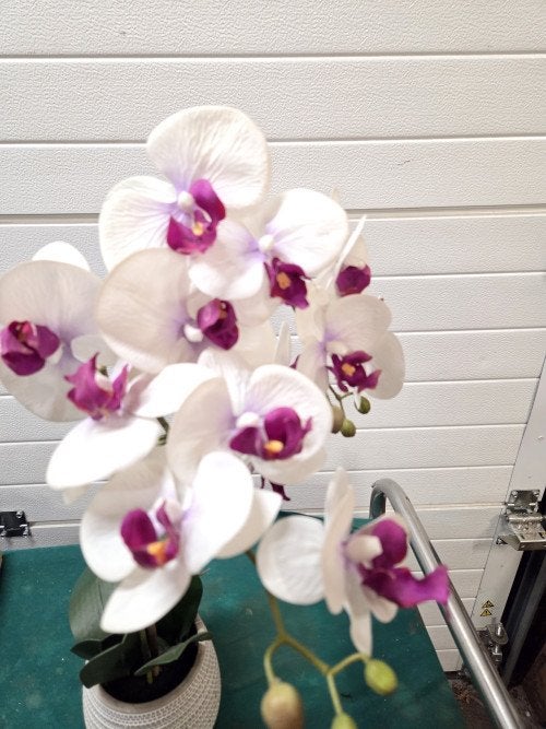 kunst orchidee in pot, Ophalen of Verzenden, 'T Olde Gre-j, Info@toldegrej.nl, Endepoelstraat 20f Didam
