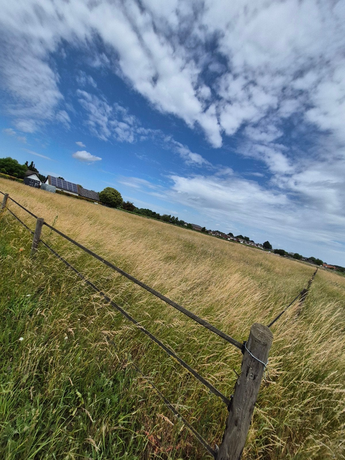 Gras te maaien, Ophalen, Overige soorten