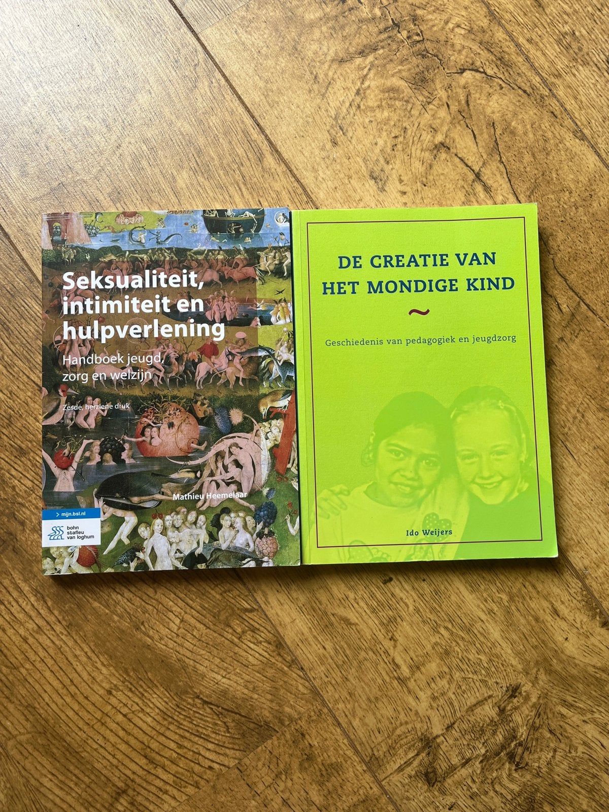 Schoolboeken HBO pedagogiek jaar 3- De Haagse Hogeschool, Ophalen of Verzenden, Zo goed als nieuw, Overige niveaus
