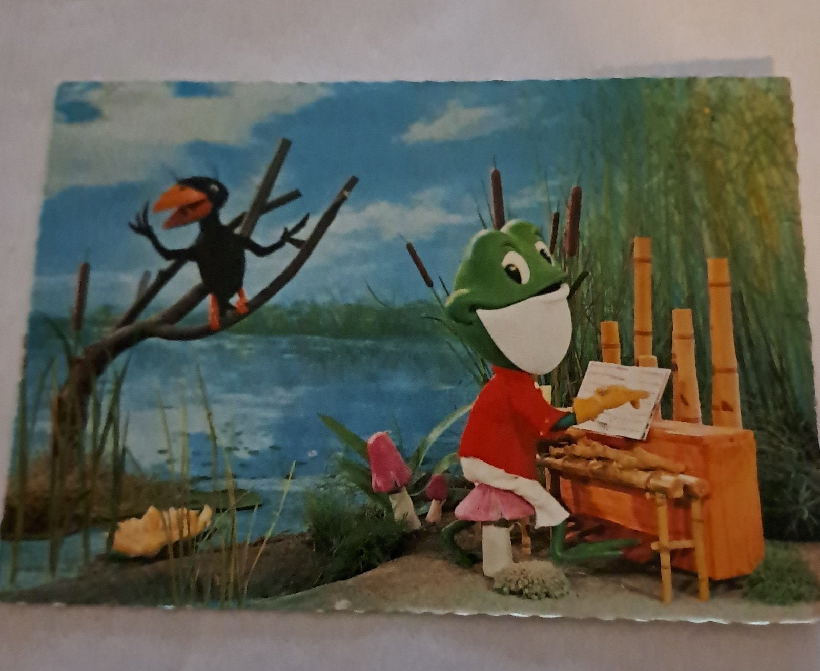 kermit de Kikker, Ophalen of Verzenden, 1980 tot heden, Noord-Holland