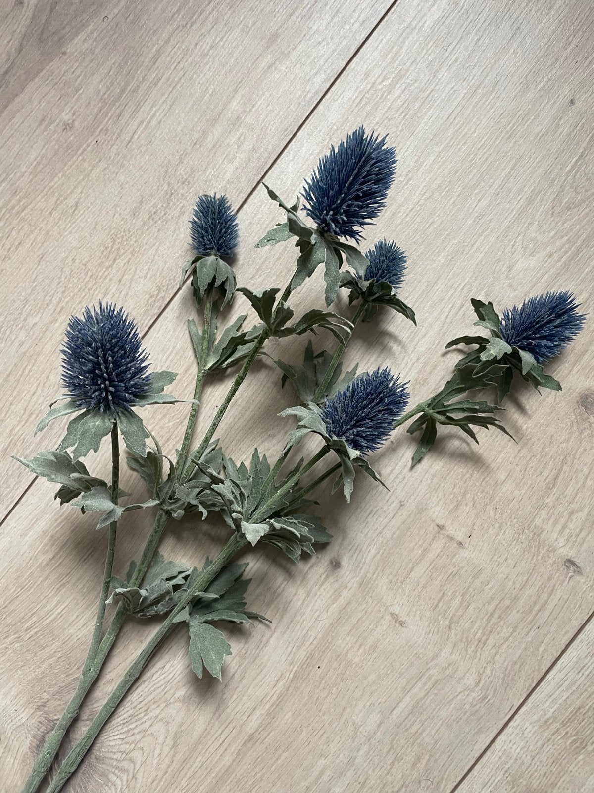 Zijden Distel Takken - 80 cm lang, 2 stuks, Ophalen, Binnen, Kunsttak, Onderhoudsvrij