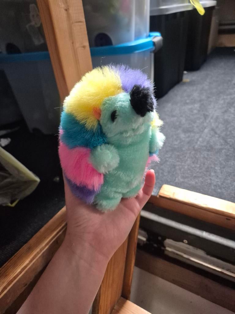 Egel knuffel, Ophalen of Verzenden, Zo goed als nieuw, Overige typen