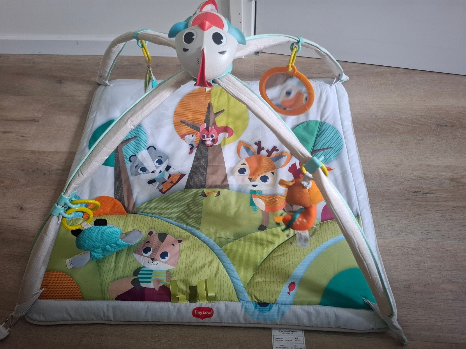 mooi speelkleed van tiny love, Ophalen, Zo goed als nieuw