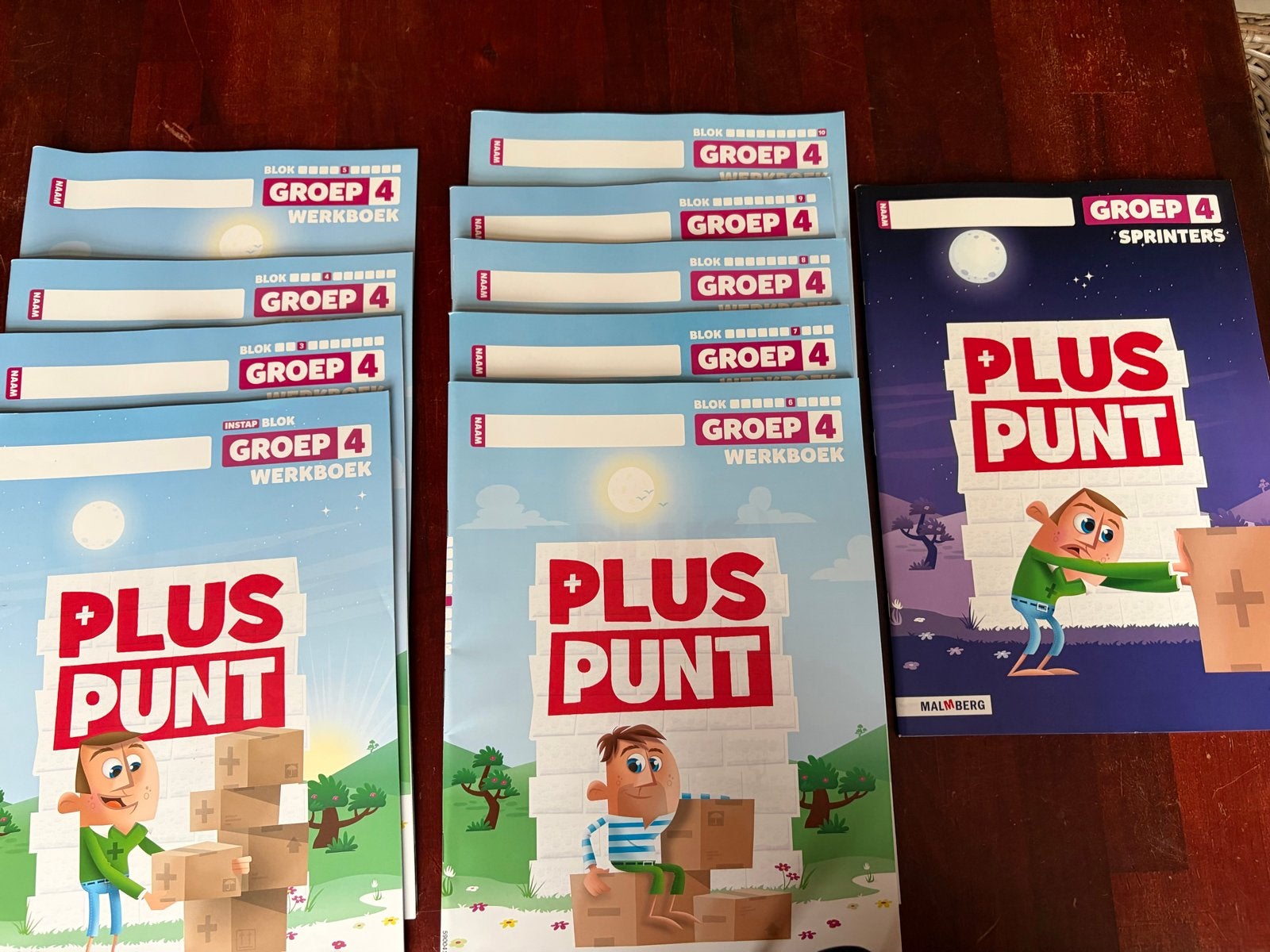 Pluspunt werkboeken, sprinters en toetsboeken groep 3-8, Boeken, Ophalen of Verzenden, Zo goed als nieuw, Overige niveaus, Overige vakken