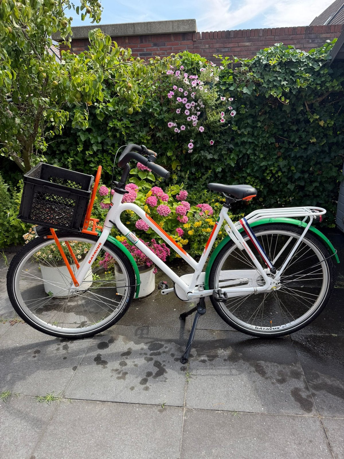 Batavus transportfiets NIEUW, 56 cm of meer, Ophalen, Zo goed als nieuw, Batavus