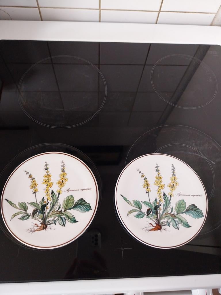 Villeroy & Boch Botanica Onderzetters (2 stuks), Ophalen of Verzenden, Zo goed als nieuw